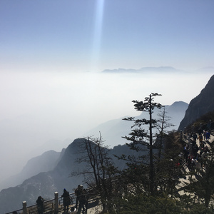 日本大胸女公交车做爱视频网
