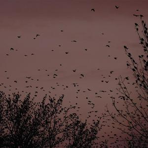 日本大胸女公交车做爱视频网
