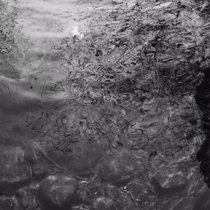 日本大胸女公交车做爱视频网
